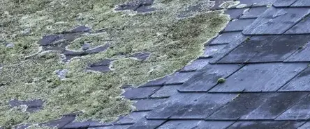 couvreur-zingueur Bovel-3