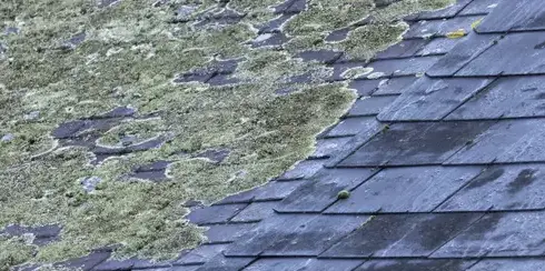 couvreur-zingueur Loutehel-3