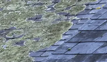 couvreur-zingueur Paimpont-3