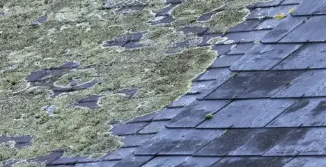 couvreur-zingueur Plélan-le-Grand-2