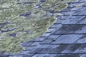 couvreur-zingueur Treffendel-2