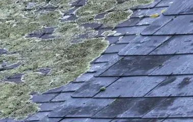 démoussage toiture Bovel-2