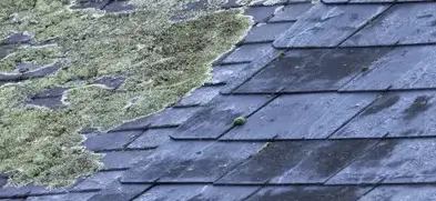 démoussage toiture Loutehel-5