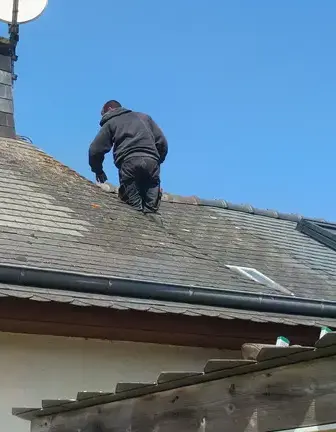 démoussage toiture Maxent-1