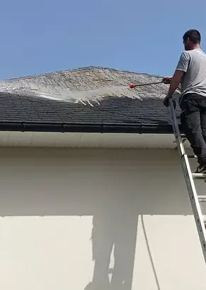 démoussage toiture Maxent-3