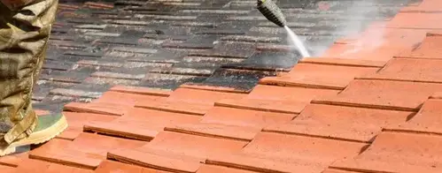 démoussage toiture Maxent-5