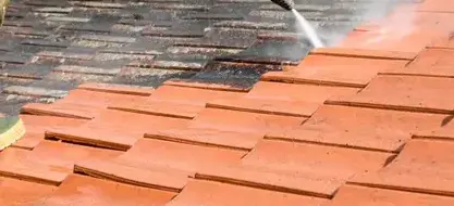 démoussage toiture Paimpont-1