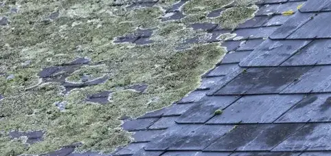 démoussage toiture Paimpont-5