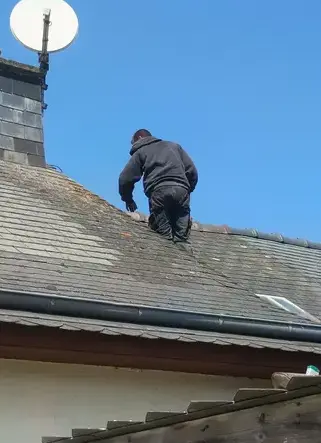 démoussage toiture Plélan-le-Grand-1