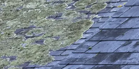 démoussage toiture Plélan-le-Grand-3