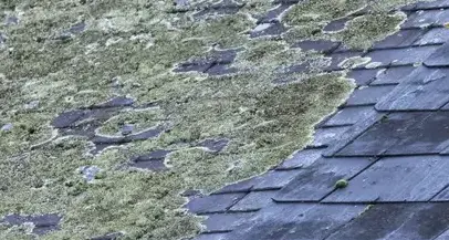 démoussage toiture Treffendel-5