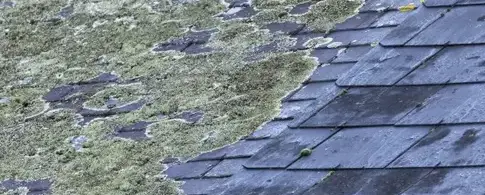 fuite toiture Loutehel-2