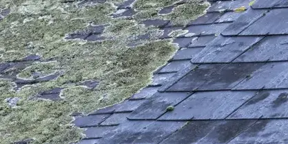 fuite toiture Maxent-3