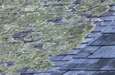 fuite toiture Paimpont-1