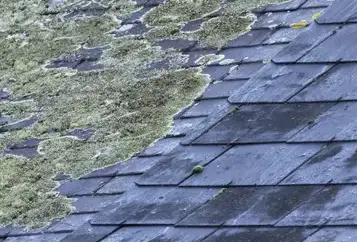 fuite toiture Plélan-le-Grand-2