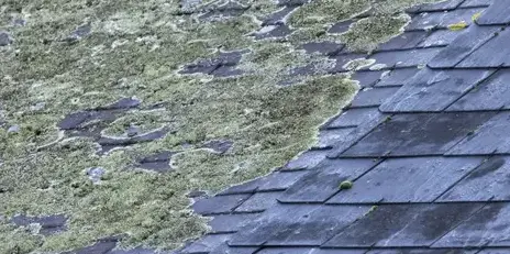 fuite toiture Treffendel-1