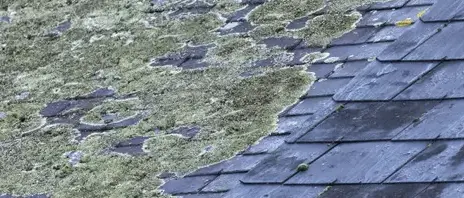 nettoyage toiture Bovel-1