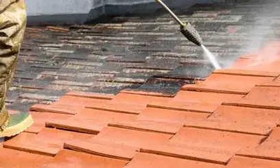 nettoyage toiture Loutehel-3