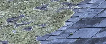 nettoyage toiture Loutehel-5