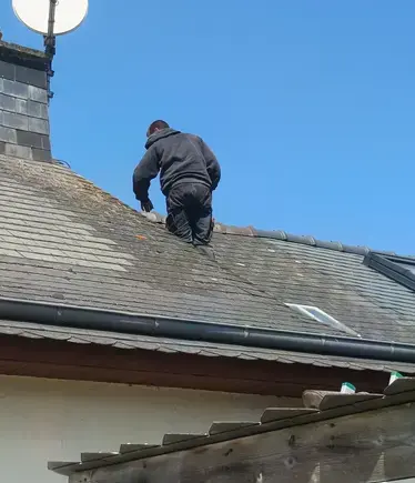 nettoyage toiture Maxent-1