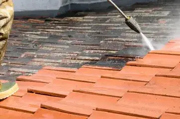 nettoyage toiture Maxent-2