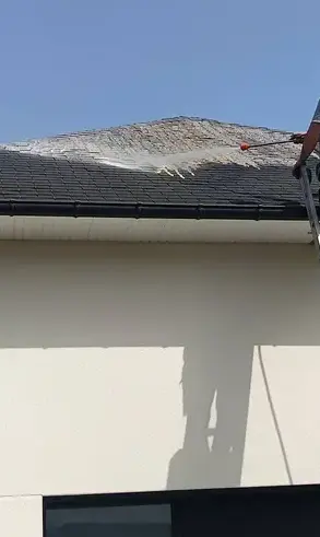 nettoyage toiture Maxent-3