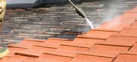 nettoyage toiture Paimpont-4