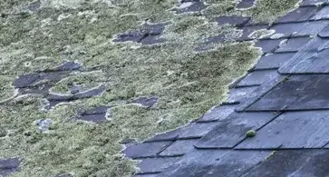 nettoyage toiture Paimpont-5