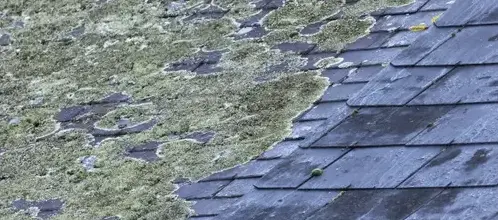 nettoyage toiture Plélan-le-Grand-1