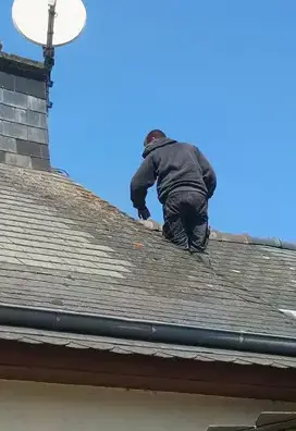 nettoyage toiture Plélan-le-Grand-5