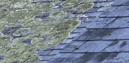 nettoyage toiture Treffendel-2