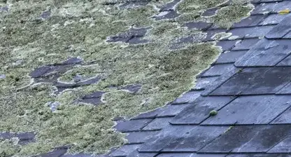 ramoneur Plélan-le-Grand-5