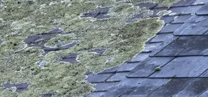 ramoneur Treffendel-2