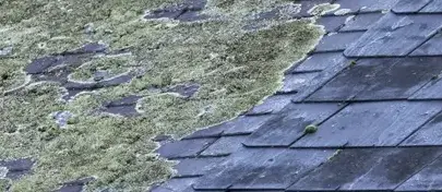 rénovation toiture Bovel-4