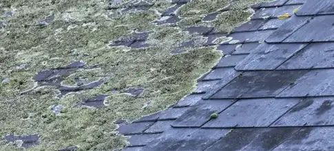 rénovation toiture Loutehel-5