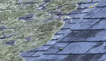 rénovation toiture Maxent-4