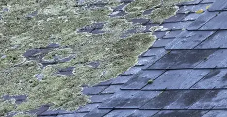 rénovation toiture Paimpont-3