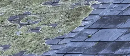 rénovation toiture Treffendel-2